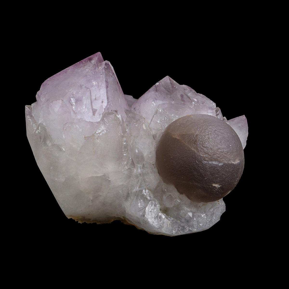 Rare Botryoidal Purple-Brown Fluorite Sphere Perched on Gemmy Amethyst Cluster - Collector’s Cabinet Specimen from Deshgaon, Madhya Pradesh, India# B 7248 Fluorite Superb Minerals 