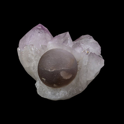 Rare Botryoidal Purple-Brown Fluorite Sphere Perched on Gemmy Amethyst Cluster - Collector’s Cabinet Specimen from Deshgaon, Madhya Pradesh, India# B 7248 Fluorite Superb Minerals 