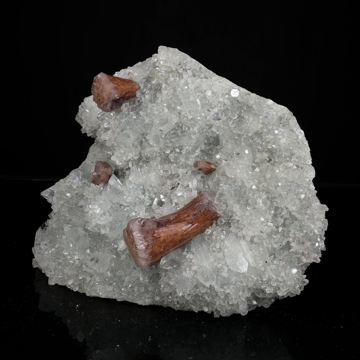 Rare Brown Stellerite Sheaves on Shimmering Apophyllite & Quartz Matrix – # B 7244 Stellerite Superb Minerals 