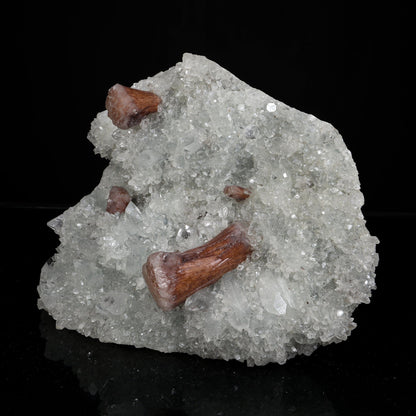 Rare Brown Stellerite Sheaves on Shimmering Apophyllite & Quartz Matrix – # B 7244 Stellerite Superb Minerals 