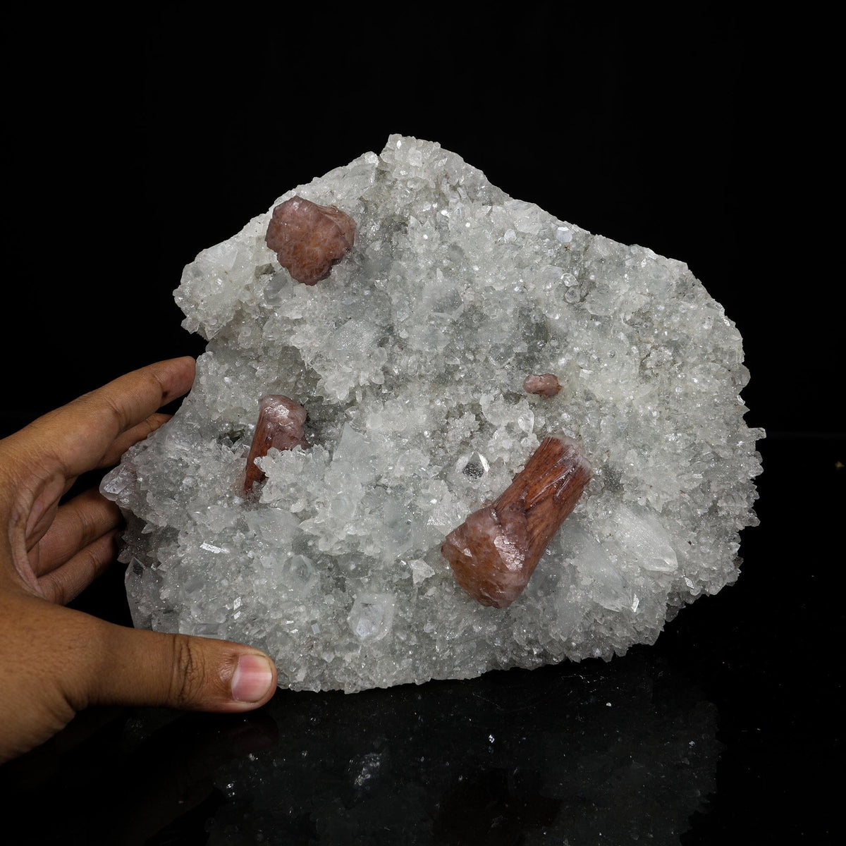 Rare Brown Stellerite Sheaves on Shimmering Apophyllite & Quartz Matrix – # B 7244 Stellerite Superb Minerals 
