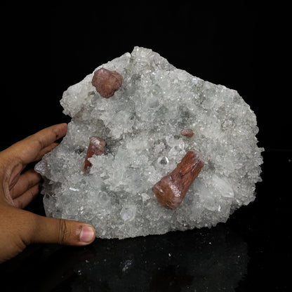 Rare Brown Stellerite Sheaves on Shimmering Apophyllite & Quartz Matrix – # B 7244 Stellerite Superb Minerals 