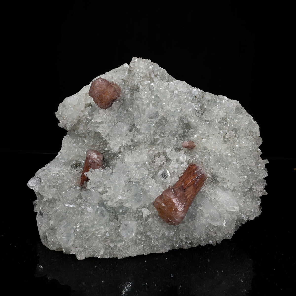 Rare Brown Stellerite Sheaves on Shimmering Apophyllite & Quartz Matrix – # B 7244 Stellerite Superb Minerals 