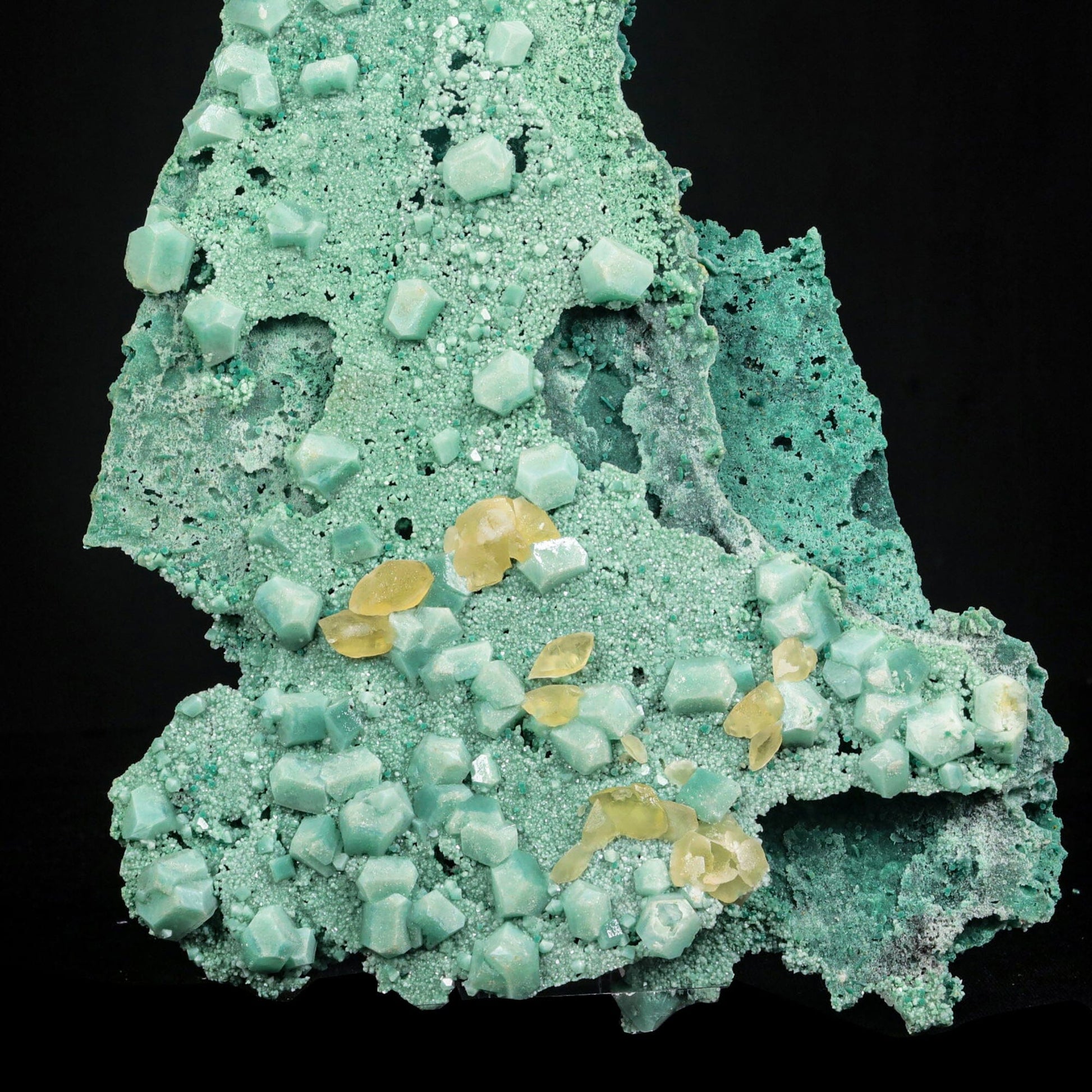 Rare Calcite on Green Chalcedony plate from India—premium zeolite for collectors # B 7073 Calcite Superb Minerals 
