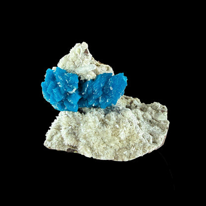 Rare Cavansite Self Standing Specimen from Wagholi Pune India # DKT10 Cavansite Superb Minerals 