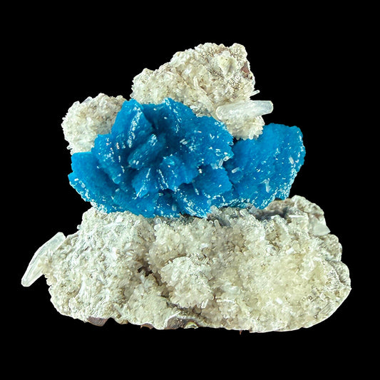 Rare Cavansite Self Standing Specimen from Wagholi Pune India # DKT10 Cavansite Superb Minerals 