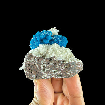 Rare Cavansite Self Standing Specimen from Wagholi Pune India # DKT10 Cavansite Superb Minerals 