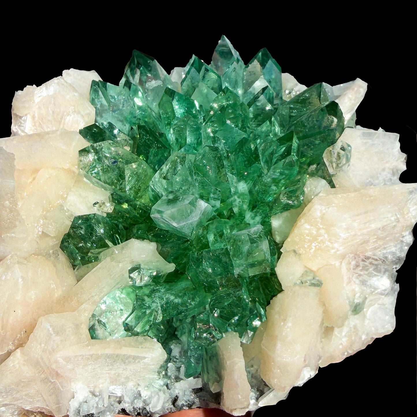 Rare Dark Green Apophyllite Flower Formation Crystal Specimen from Savda Quarry, Jalgaon, India – Sharp Terminated Collector Mineral | Global Premium Display Piece| Collector Display Piece # DKT16 Apohyllite Superb Minerals 