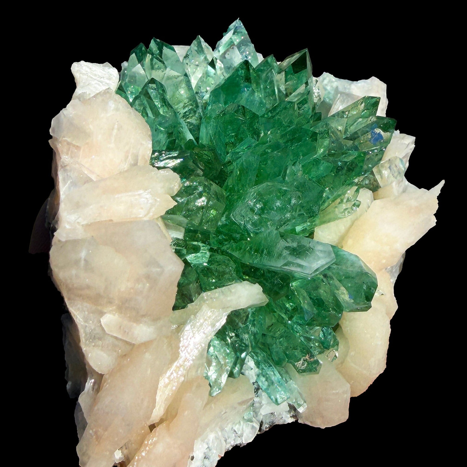 Rare Dark Green Apophyllite Flower Formation Crystal Specimen from Savda Quarry, Jalgaon, India – Sharp Terminated Collector Mineral | Global Premium Display Piece| Collector Display Piece # DKT16 Apohyllite Superb Minerals 