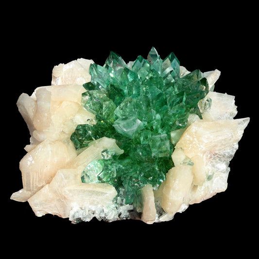 Rare Dark Green Apophyllite Flower Formation Crystal Specimen from Savda Quarry, Jalgaon, India – Sharp Terminated Collector Mineral | Global Premium Display Piece| Collector Display Piece # DKT16 Apohyllite Superb Minerals 