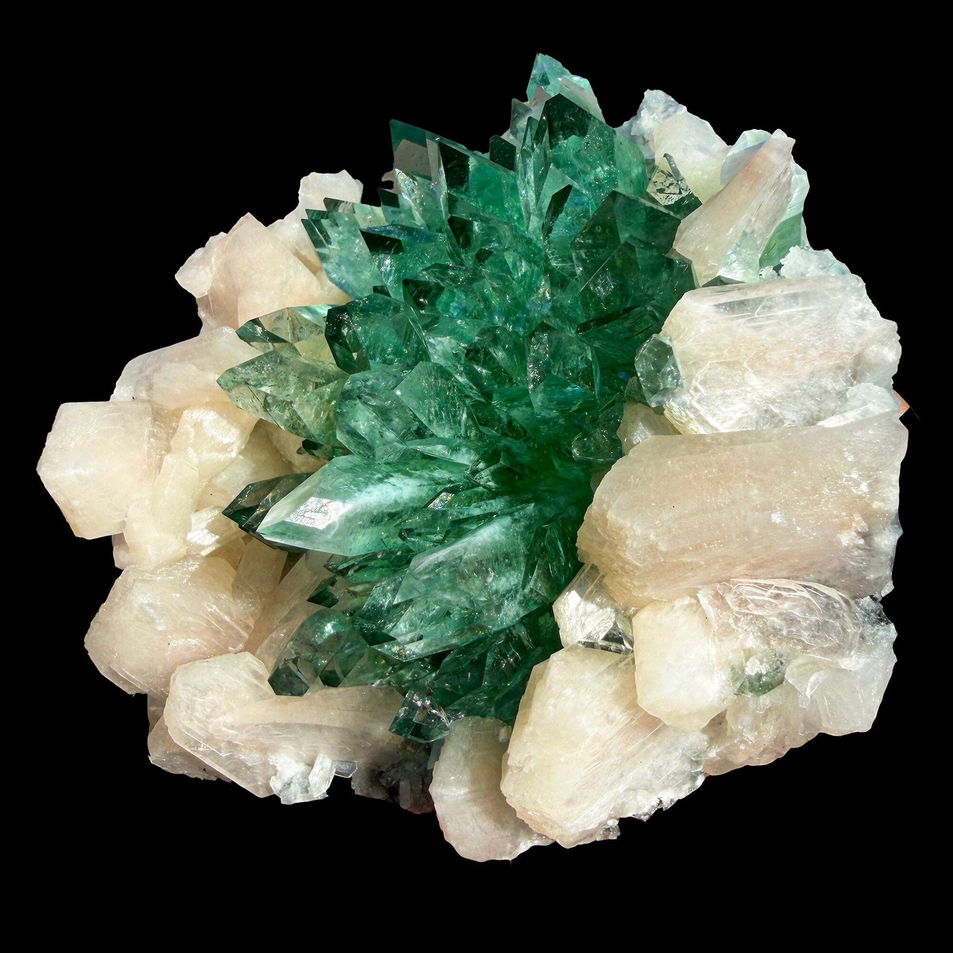 Rare Dark Green Apophyllite Flower Formation Crystal Specimen from Savda Quarry, Jalgaon, India – Sharp Terminated Collector Mineral | Global Premium Display Piece| Collector Display Piece # DKT16 Apohyllite Superb Minerals 
