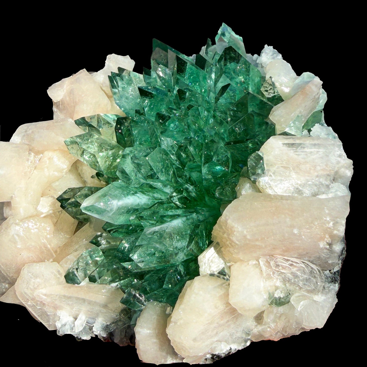 Rare Dark Green Apophyllite Flower Formation Crystal Specimen from Savda Quarry, Jalgaon, India – Sharp Terminated Collector Mineral | Global Premium Display Piece| Collector Display Piece # DKT16 Apohyllite Superb Minerals 