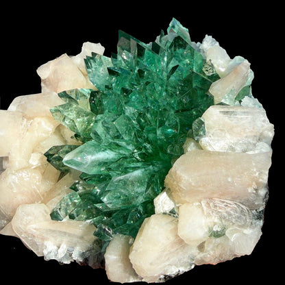 Rare Dark Green Apophyllite Flower Formation Crystal Specimen from Savda Quarry, Jalgaon, India – Sharp Terminated Collector Mineral | Global Premium Display Piece| Collector Display Piece # DKT16 Apohyllite Superb Minerals 
