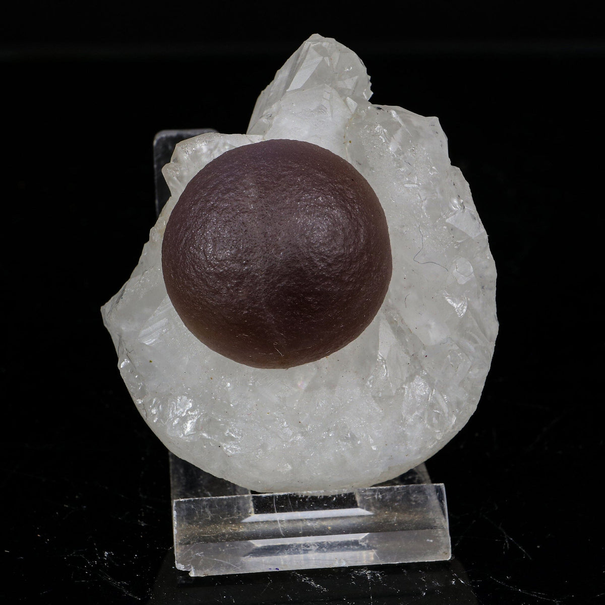 Rare Dark Purple Botryoidal Fluorite Sphere on Quartz Matrix - Fine Collector Specimen from Madhya Pradesh # B 7217 Fluorite Superb Minerals 
