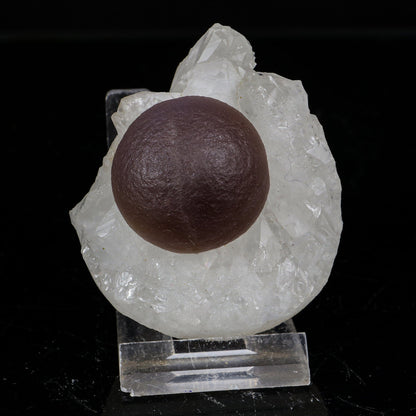 Rare Dark Purple Botryoidal Fluorite Sphere on Quartz Matrix - Fine Collector Specimen from Madhya Pradesh # B 7217 Fluorite Superb Minerals 