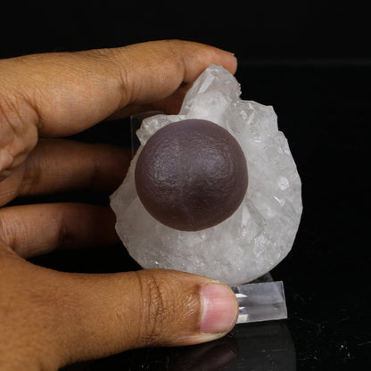 Rare Dark Purple Botryoidal Fluorite Sphere on Quartz Matrix - Fine Collector Specimen from Madhya Pradesh # B 7217 Fluorite Superb Minerals 