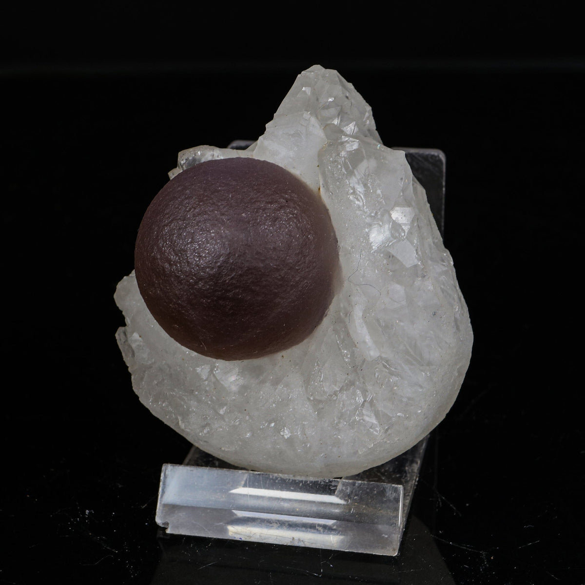 Rare Dark Purple Botryoidal Fluorite Sphere on Quartz Matrix - Fine Collector Specimen from Madhya Pradesh # B 7217 Fluorite Superb Minerals 