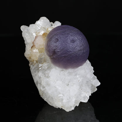Rare Deep Purple Botryoidal Fluorite on Quartz Matrix - Collector’s Specimen from Madhya Pradesh # B 7206 Fluorite Superb Minerals 