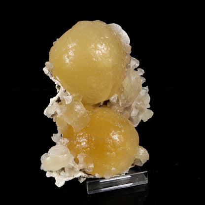 Rare Dual-Habit Golden Stellerite Spheres on Blade Matrix - Jalgaon Mineral Specimen # B 7215 Stellerite Superb Minerals 