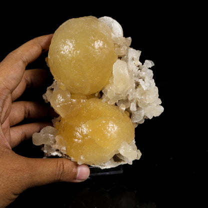 Rare Dual-Habit Golden Stellerite Spheres on Blade Matrix - Jalgaon Mineral Specimen # B 7215 Stellerite Superb Minerals 