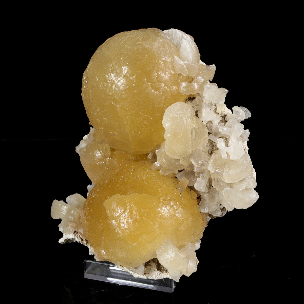 Rare Dual-Habit Golden Stellerite Spheres on Blade Matrix - Jalgaon Mineral Specimen # B 7215 Stellerite Superb Minerals 