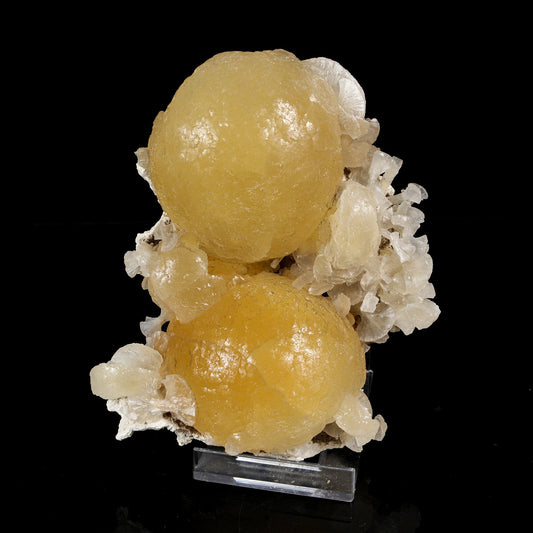 Rare Dual-Habit Golden Stellerite Spheres on Blade Matrix - Jalgaon Mineral Specimen # B 7215 Stellerite Superb Minerals 