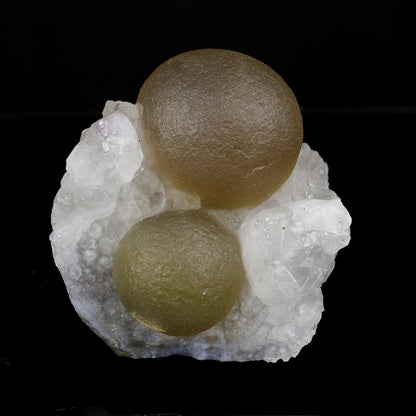 Rare Dual Yellow-Green Botryoidal Fluorite Spheres on Quartz Matrix - Collector’s Specimen from Madhya Pradesh # B 7209 Fluorite Superb Minerals 
