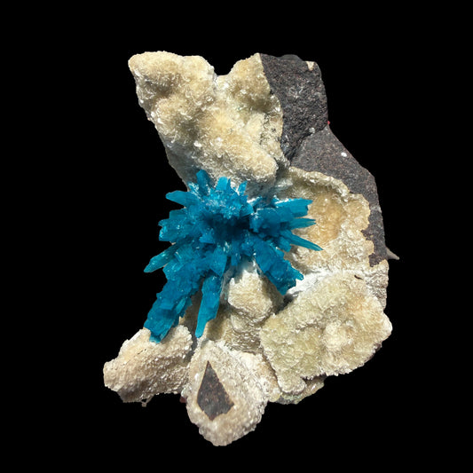 Rare Electric-Blue Pentagonite Crystal Spray on Heulandite Matrix – Natural Mineral Specimen from Wagholi, Pune # G DKT116 Pentagonite Superb Minerals 