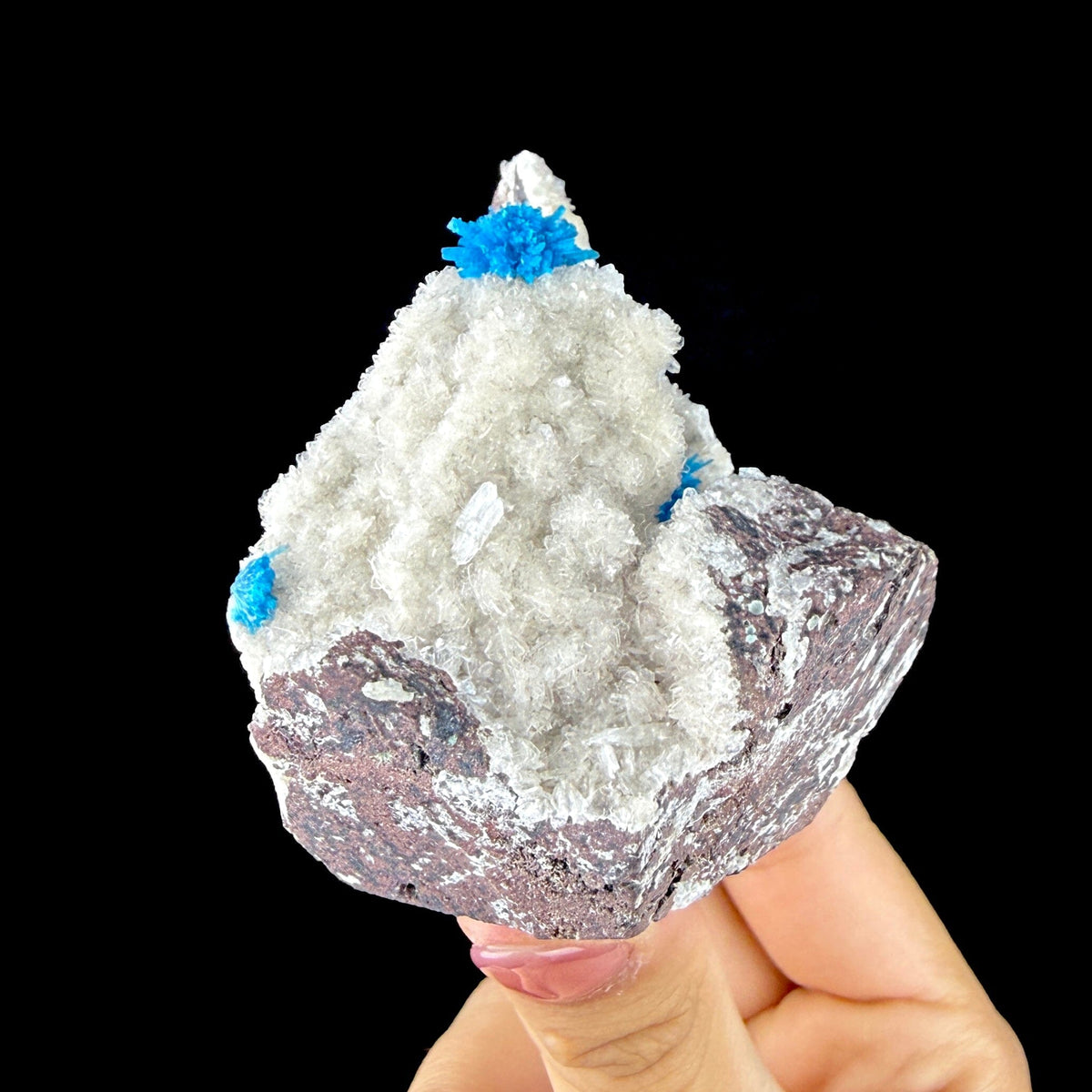 Rare Electric Blue Pentagonite Flowers on Heulandite Matrix - Natural Collector’s Specimen from Pune # DKT152 Pentagonite Superb Minerals 