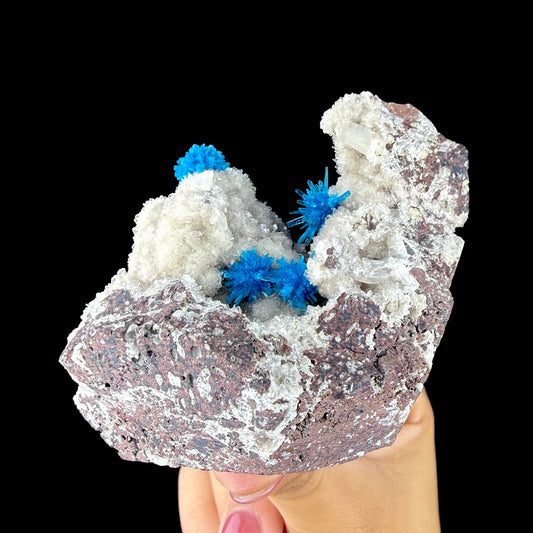 Rare Electric Blue Pentagonite Flowers on Heulandite Matrix - Natural Collector’s Specimen from Pune # DKT152 Pentagonite Superb Minerals 