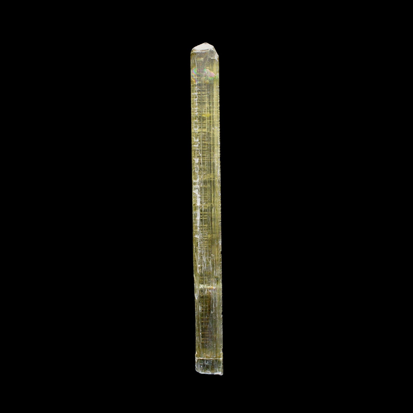 Rare Fluorescent Scapolite Crystal Specimen from Karur, South India – Natural Terminated Collector Mineral Specimen B #7148 Scapolite Superb Minerals 