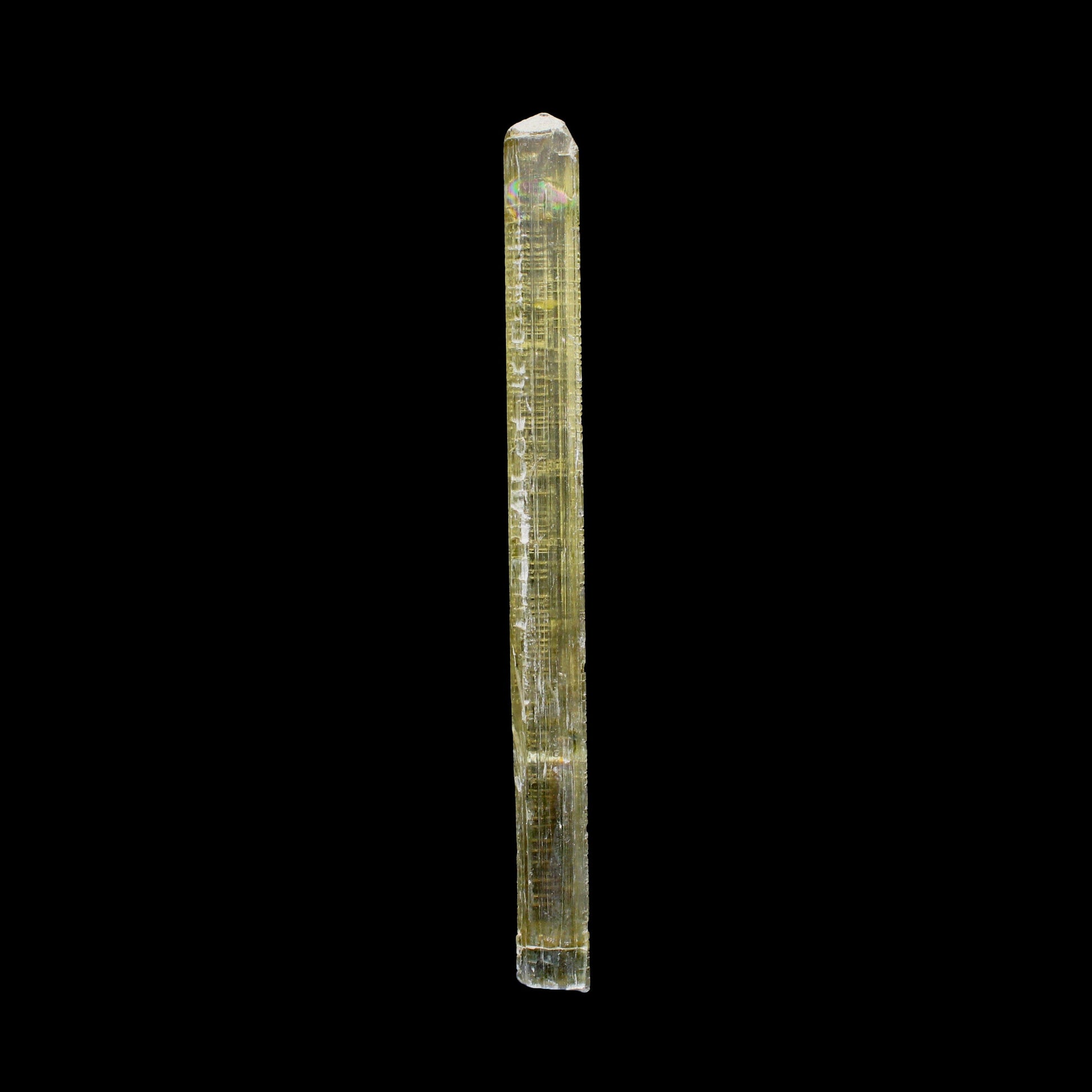 Rare Fluorescent Scapolite Crystal Specimen from Karur, South India – Natural Terminated Collector Mineral Specimen B #7148 Scapolite Superb Minerals 