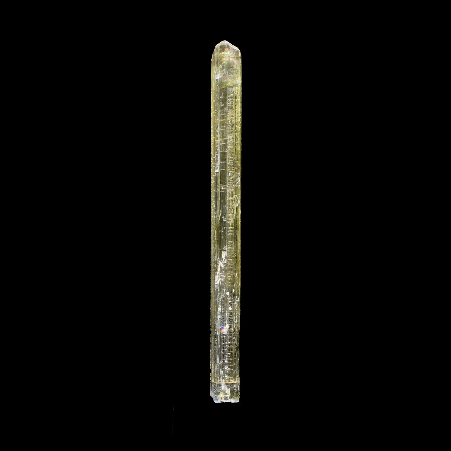 Rare Fluorescent Scapolite Crystal Specimen from Karur, South India – Natural Terminated Collector Mineral Specimen B #7148 Scapolite Superb Minerals 