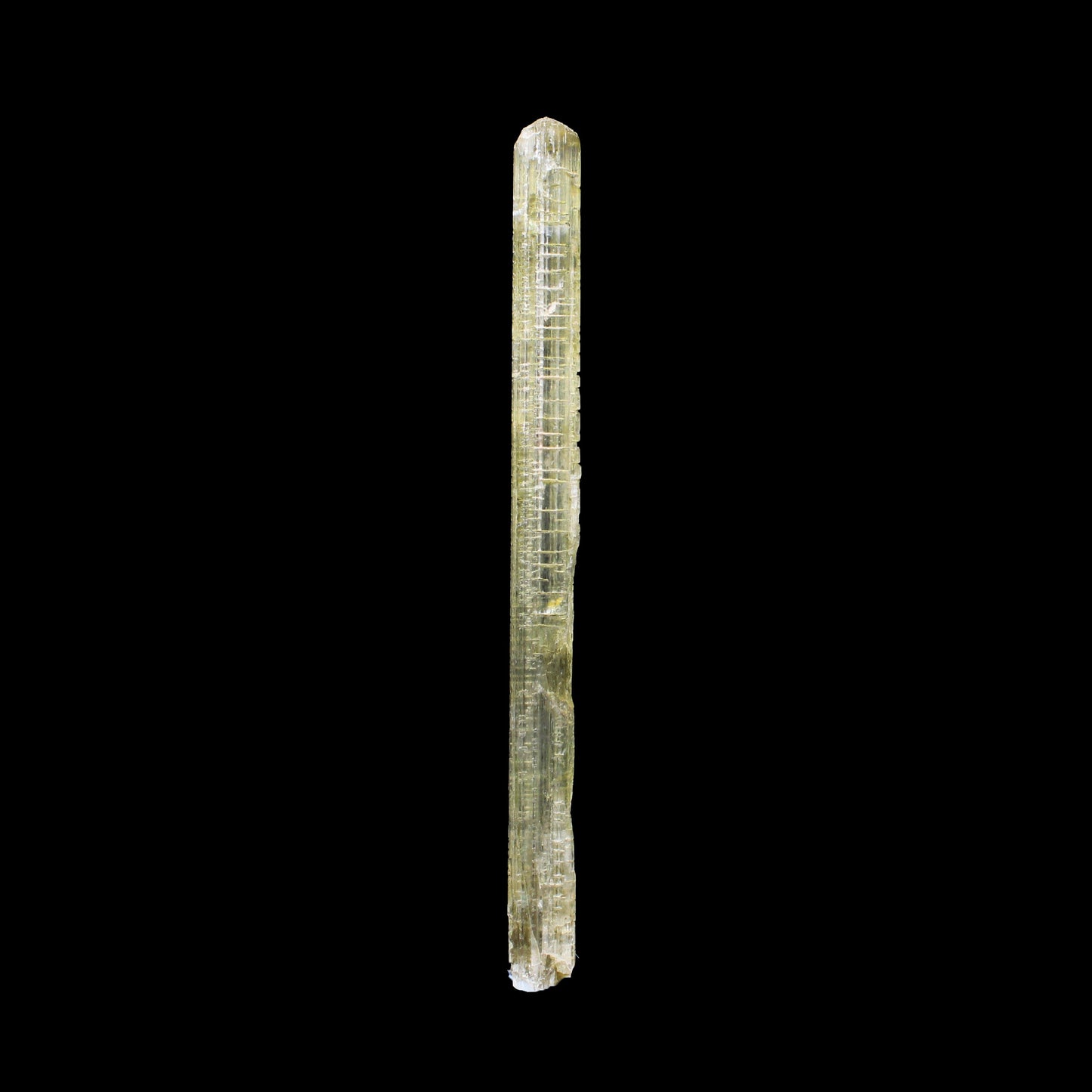 Rare Fluorescent Scapolite Crystal Specimen from Karur, South India – Natural Terminated Collector Mineral Specimen B #7155 Scapolite Superb Minerals 
