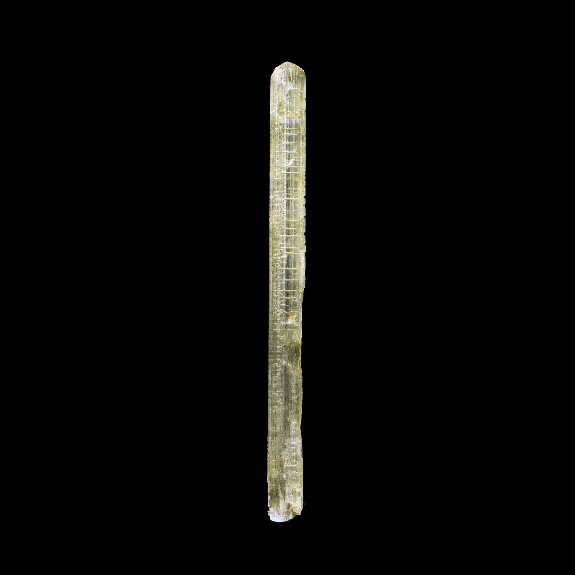 Rare Fluorescent Scapolite Crystal Specimen from Karur, South India – Natural Terminated Collector Mineral Specimen B #7155 Scapolite Superb Minerals 