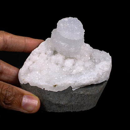 Rare Goosecreekite with MM Quartz - Self Standing Rare Indian Zeolite Crystal Specimen # B 7126 Goosecreekite Superb Minerals 