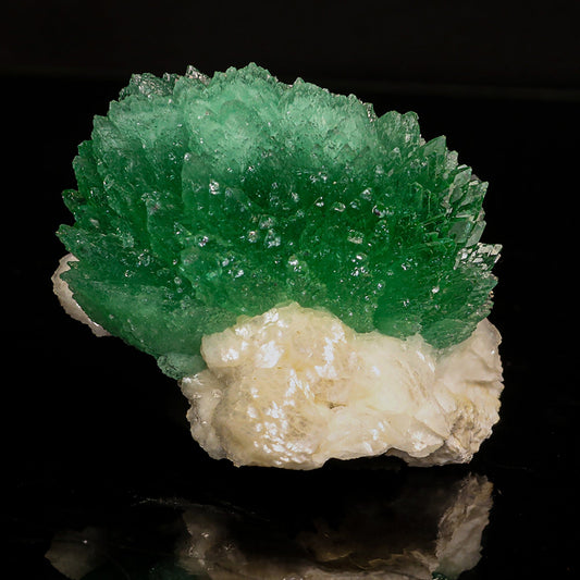Rare Green Apophyllite with Heulandite Natural Mineral Specimen # B 6830 Apophyllite Superb Minerals 