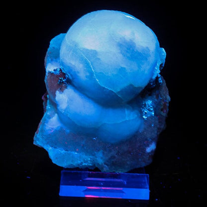 Rare Green Botryoidal Fluorites Natural mineral Specimen # B 7083 Fluorite Superb Minerals 