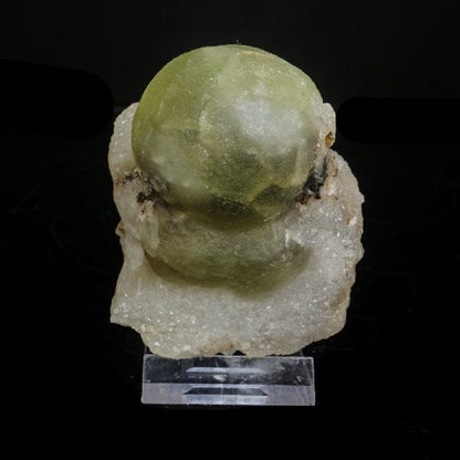 Rare Green Botryoidal Fluorites Natural mineral Specimen # B 7083 Fluorite Superb Minerals 
