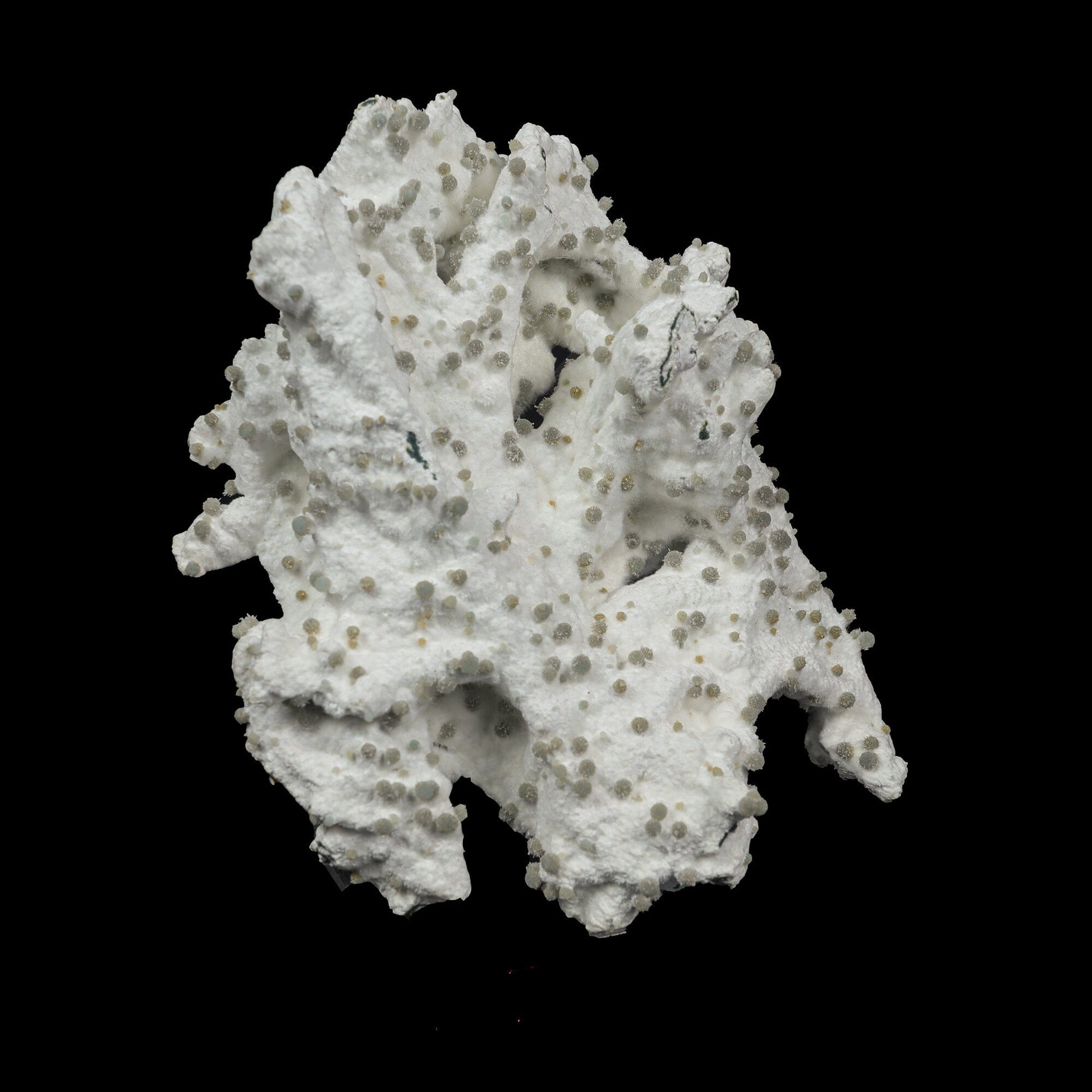 Rare Green Chalcedony on Okenite – Fibrous Indian Zeolite Mineral Specimen # B 7108 Okenite Superb Minerals 