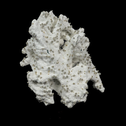 Rare Green Chalcedony on Okenite – Fibrous Indian Zeolite Mineral Specimen # B 7108 Okenite Superb Minerals 