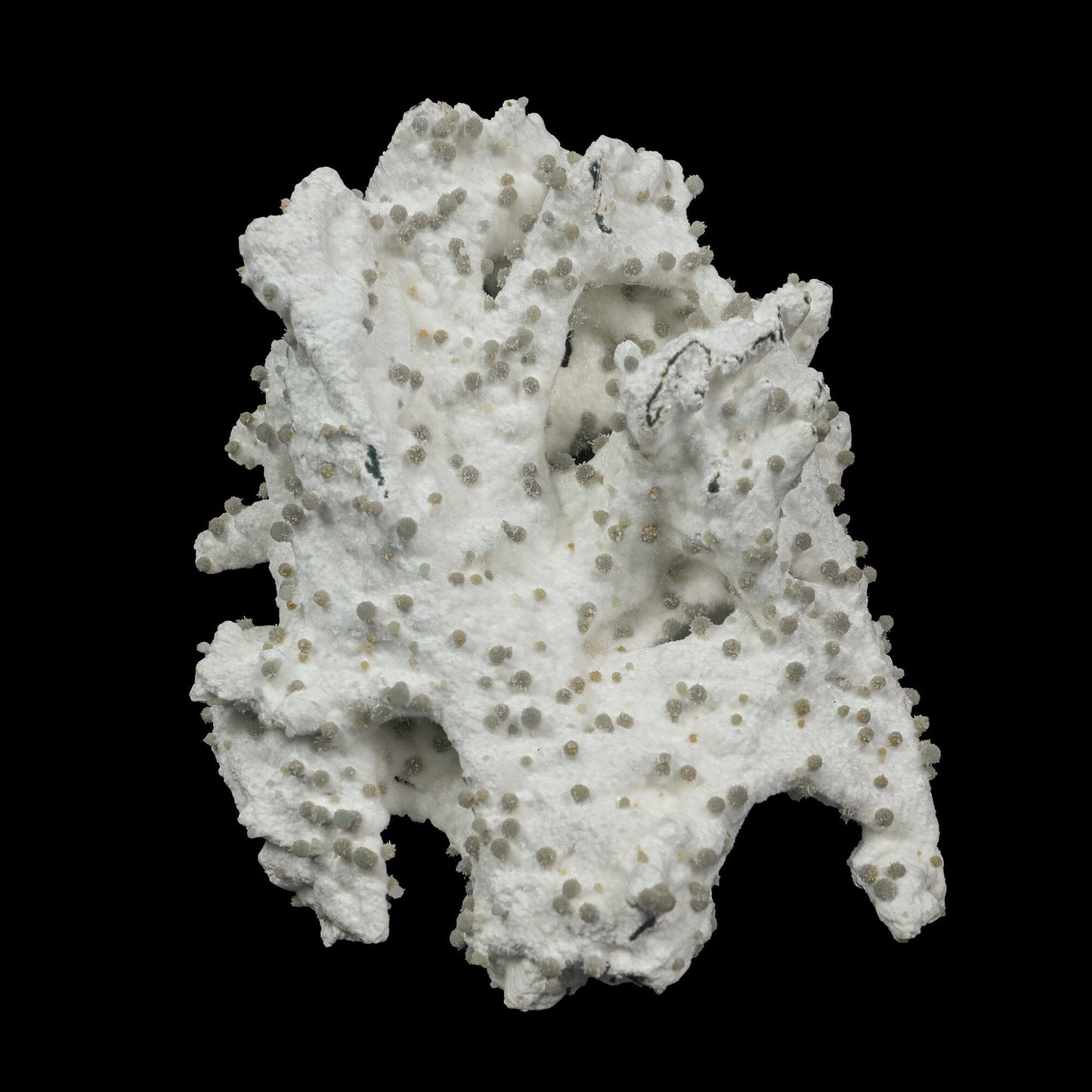 Rare Green Chalcedony on Okenite – Fibrous Indian Zeolite Mineral Specimen # B 7108 Okenite Superb Minerals 