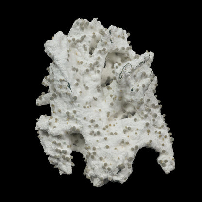 Rare Green Chalcedony on Okenite – Fibrous Indian Zeolite Mineral Specimen # B 7108 Okenite Superb Minerals 