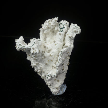 Rare Green Chalcedony on Okenite – Fibrous Indian Zeolite Mineral Specimen # B 7111 Okenite Superb Minerals 