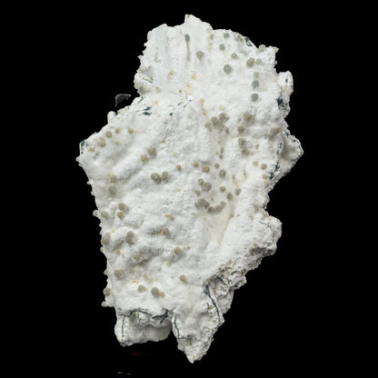 Rare Green Chalcedony on Okenite – Fibrous Indian Zeolite Mineral Specimen # B 7114 Okenite Superb Minerals 