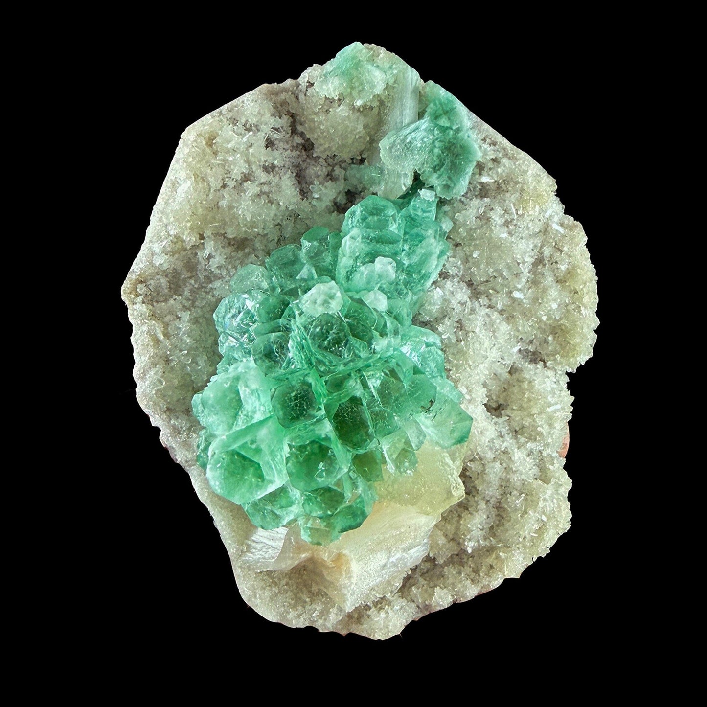 Rare Green Grape Apophyllite Crystal Cluster from Jalgaon, India Natural Collector Specimen # DKT9 Apophylite Superb Minerals 