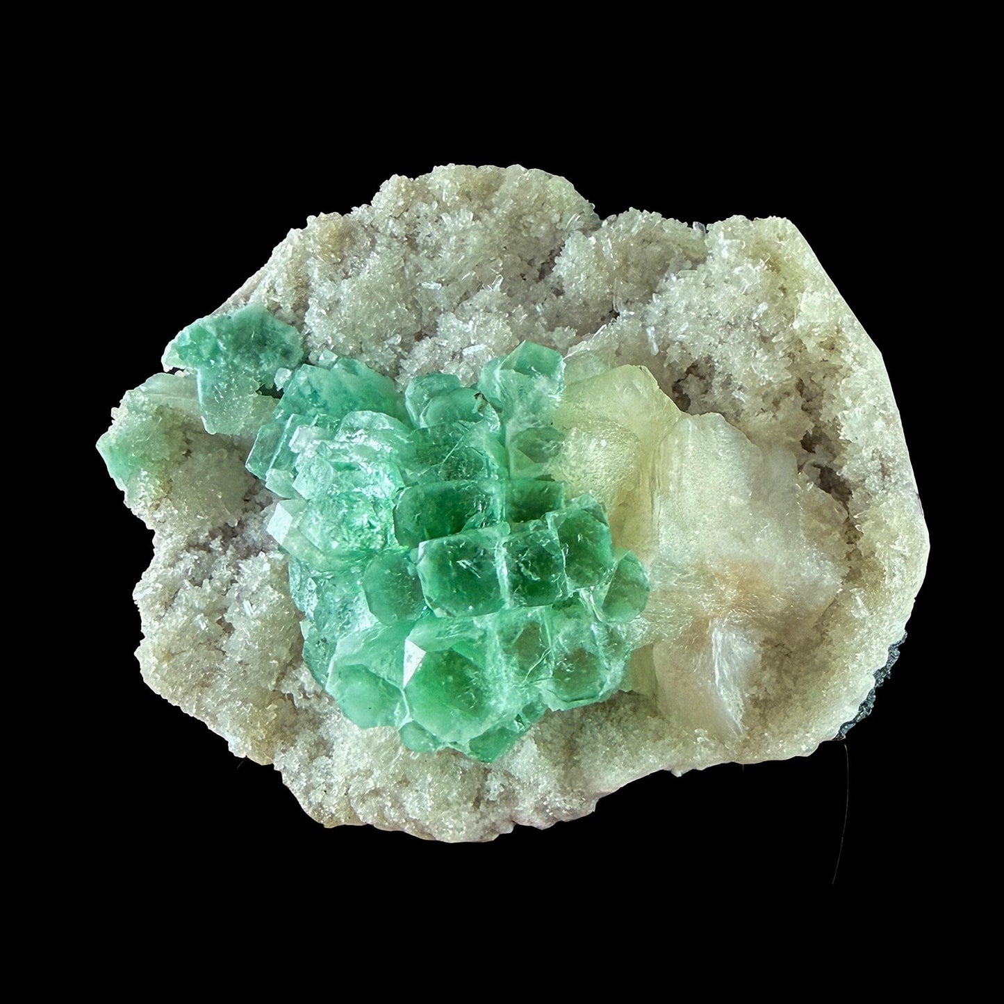 Rare Green Grape Apophyllite Crystal Cluster from Jalgaon, India Natural Collector Specimen # DKT9 Apophylite Superb Minerals 