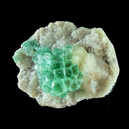 Rare Green Grape Apophyllite Crystal Cluster from Jalgaon, India Natural Collector Specimen # DKT9 Apophylite Superb Minerals 