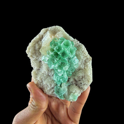 Rare Green Grape Apophyllite Crystal Cluster from Jalgaon, India Natural Collector Specimen # DKT9 Apophylite Superb Minerals 