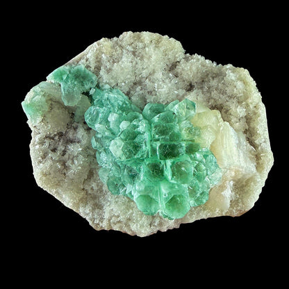 Rare Green Grape Apophyllite Crystal Cluster from Jalgaon, India Natural Collector Specimen # DKT9 Apophylite Superb Minerals 